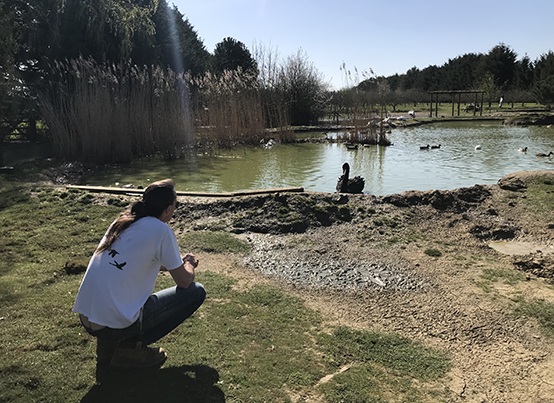 Downwell lend support to The Waterfowl Sanctuary